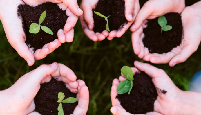 Diplomado Superior En Educación Ambiental Y Proyectos Escolares